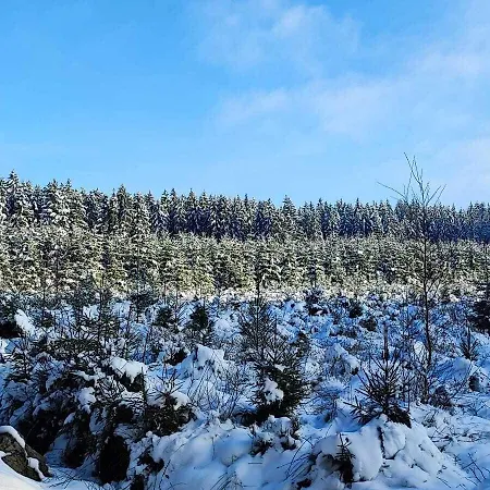 فان دير فالك 4* فيرفيرس